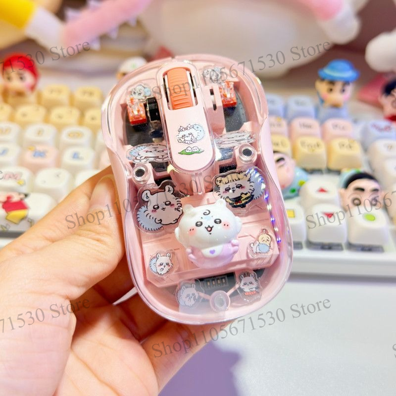 Kawaii Chiikawa Transparent Ku - Kawaii Tech Accessories recension och pris